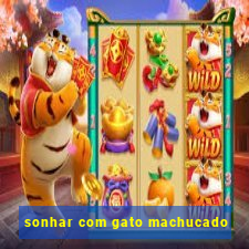 sonhar com gato machucado